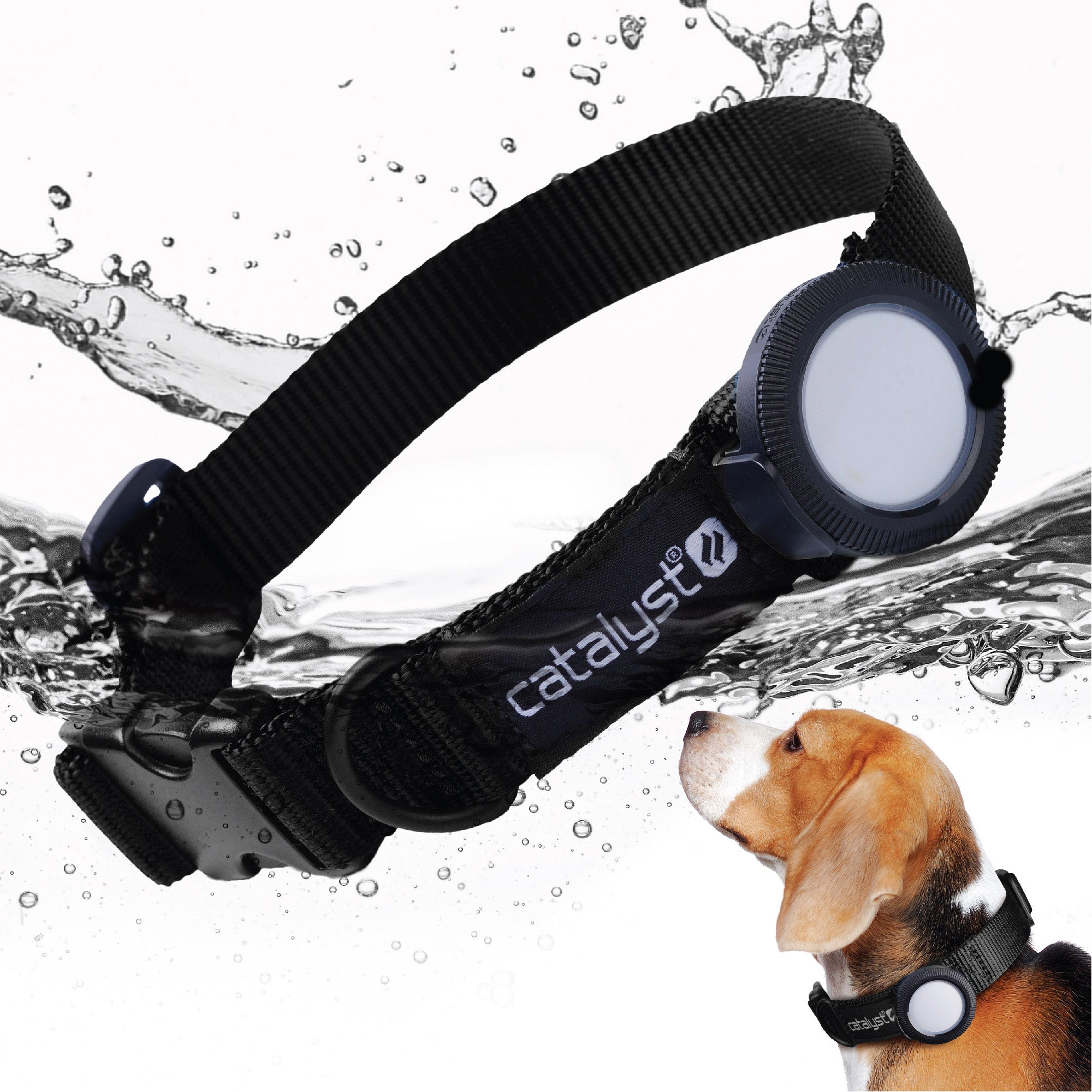 Quick Drying 1" Dog Collar with Waterproof AirTag Case