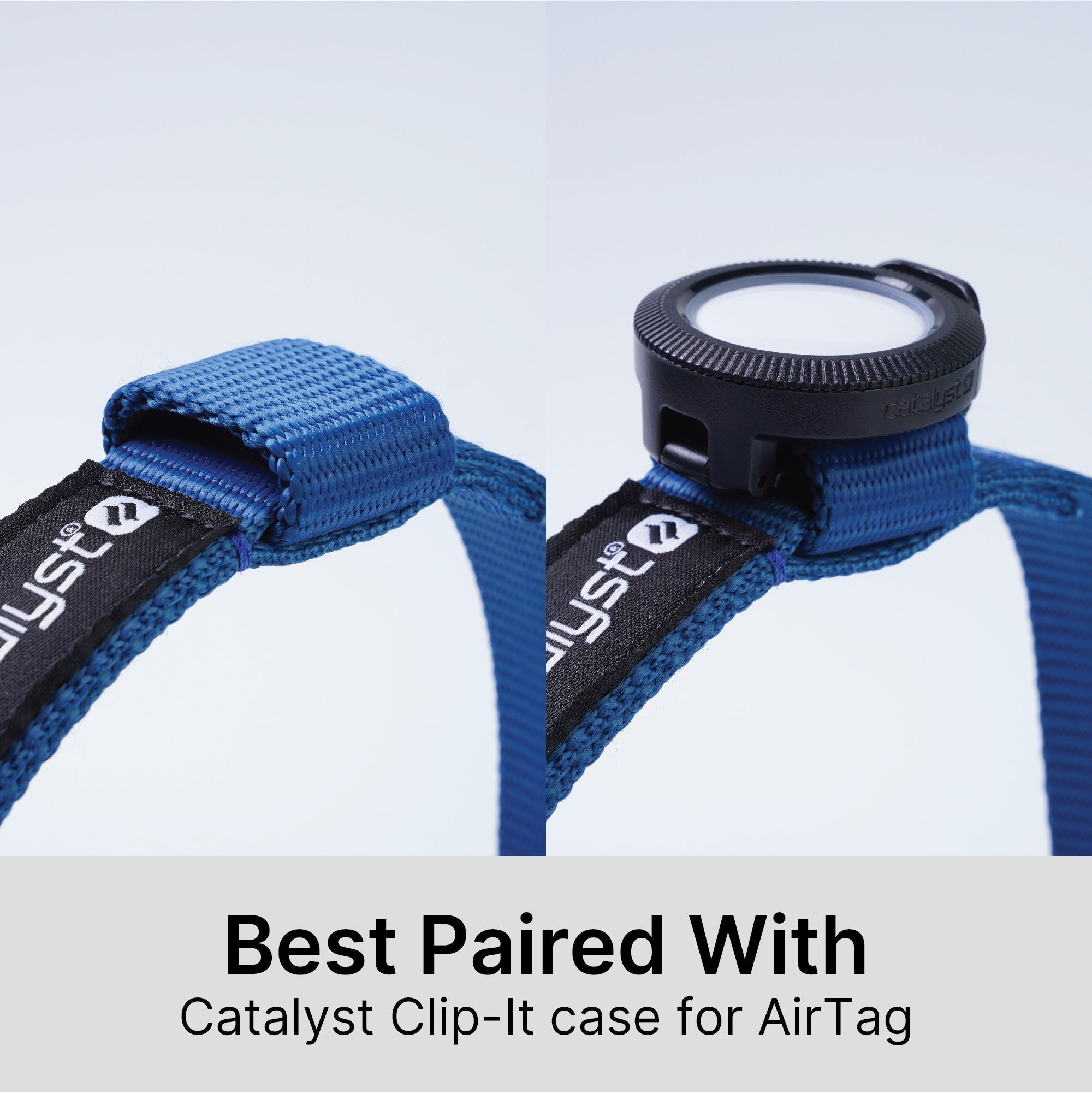 Dog Collar for AirTag-UK