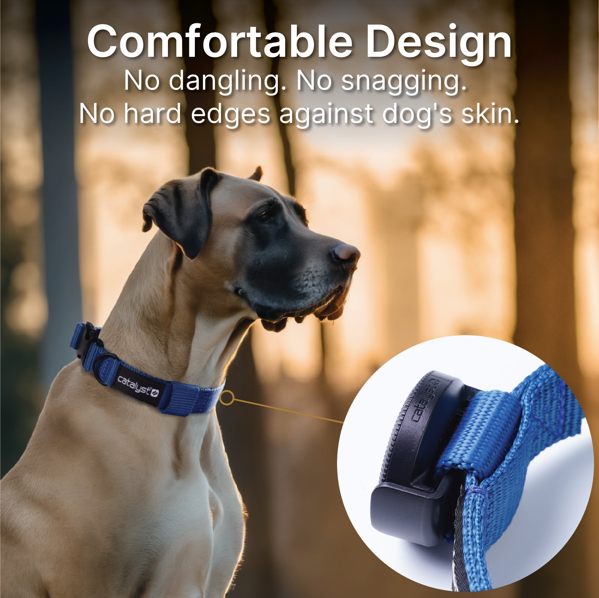 Dog Collar for AirTag-EU