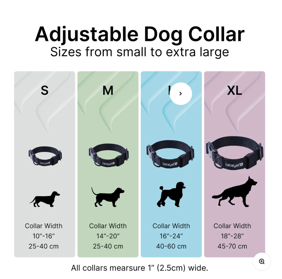 Dog Collar for AirTag-UK